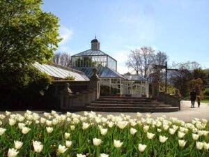 Dunedin Botanic Garden