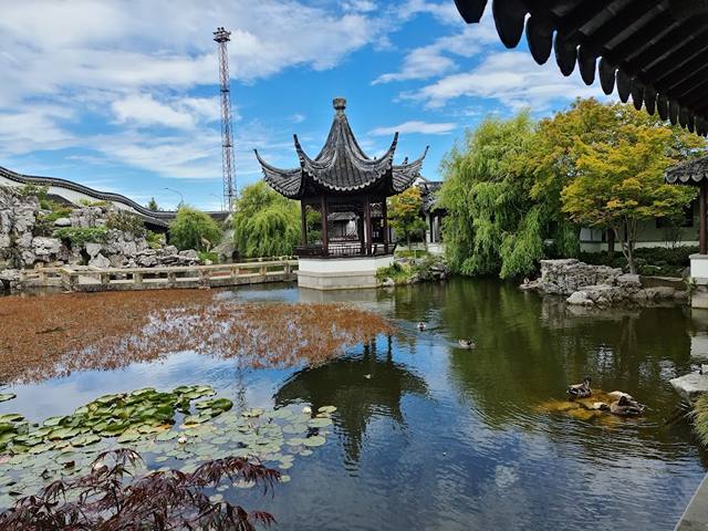 famous parks in Dunedin
