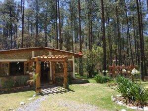 EcoturixtlAn Oaxaca