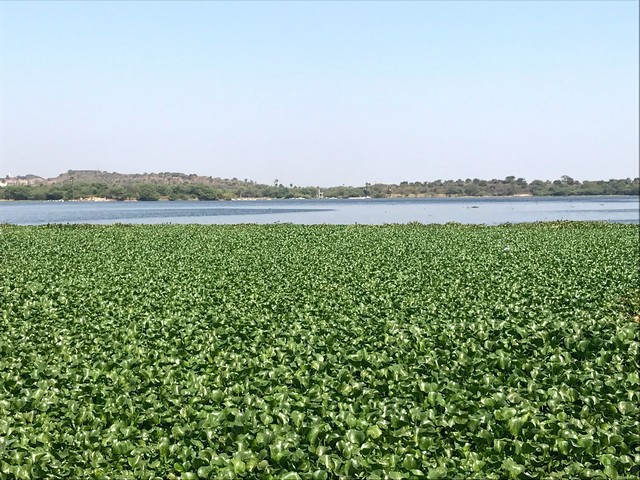 Edulabad Lake Hyderabad