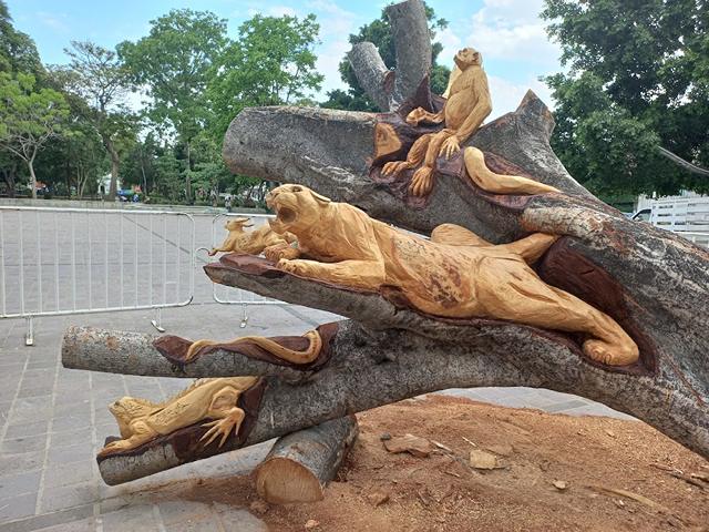 El Llano Park Oaxaca