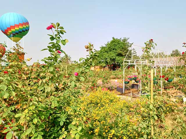 Flower Field Garden Ho Chi Minh City
