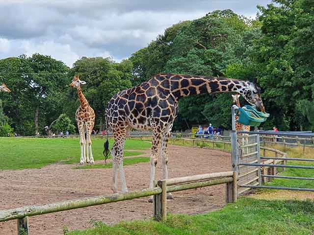 best things to do in Cork Ireland