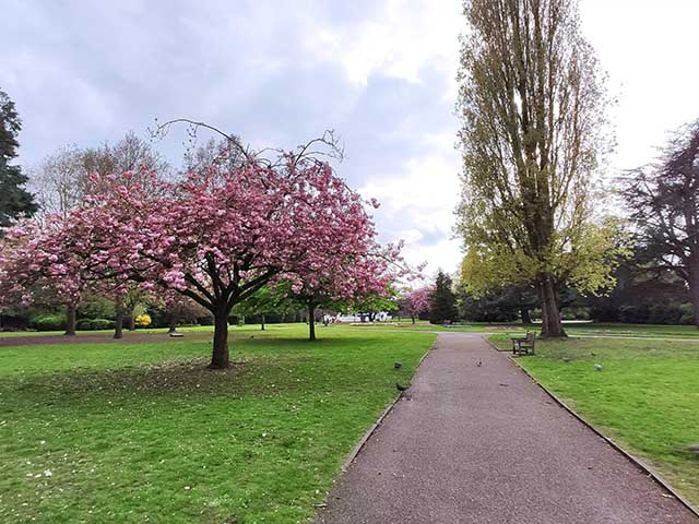 Grosvenor Park Chester