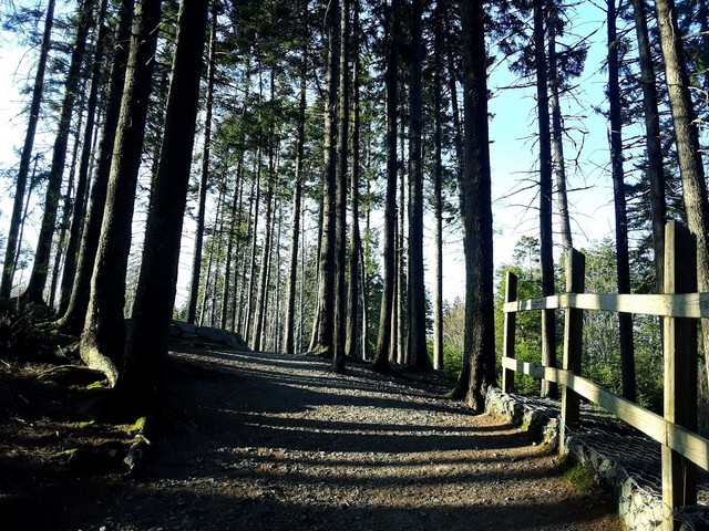 Hemlock Ravine Park in Halifax