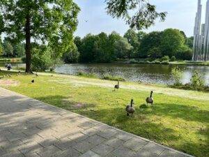 Best parks in Eindhoven - Henri Dunant Park Eindhoven