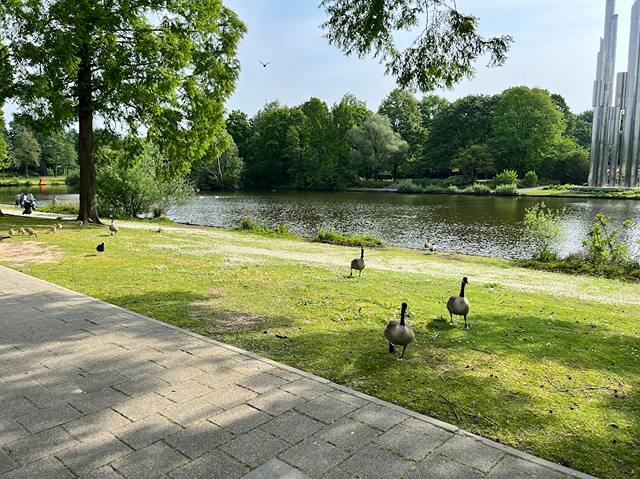 famous parks in Eindhoven