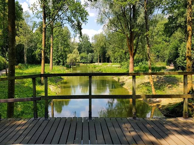 top things to do in Eindhoven