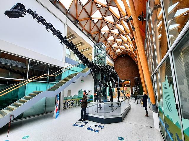 Herbert Art Gallery & Museum Coventry