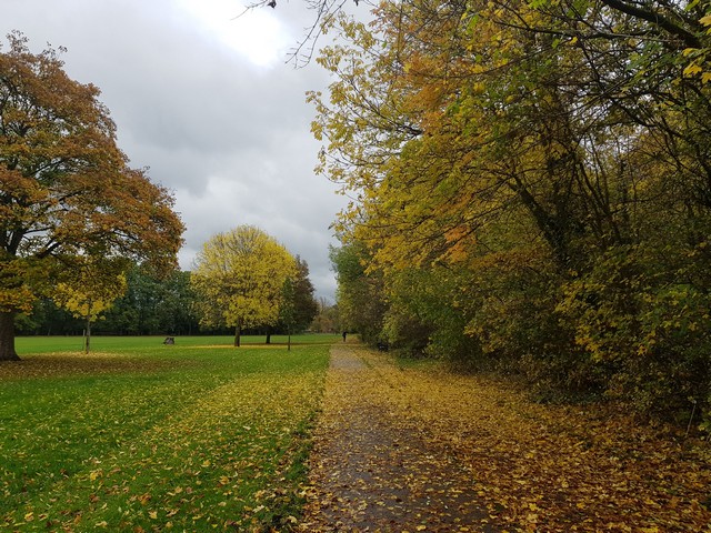 best parks in Leicester