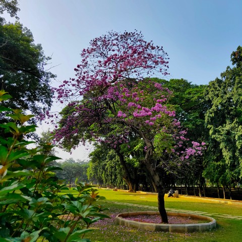 best parks in Hyderabad