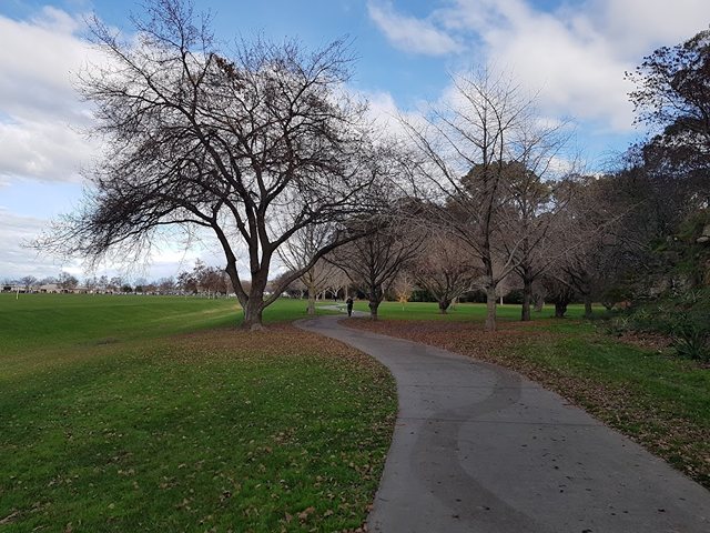 Best parks in Napier
