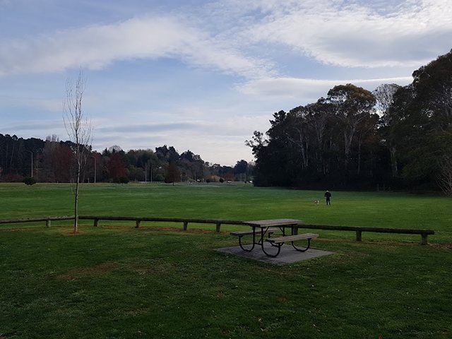 Island Park Napier
