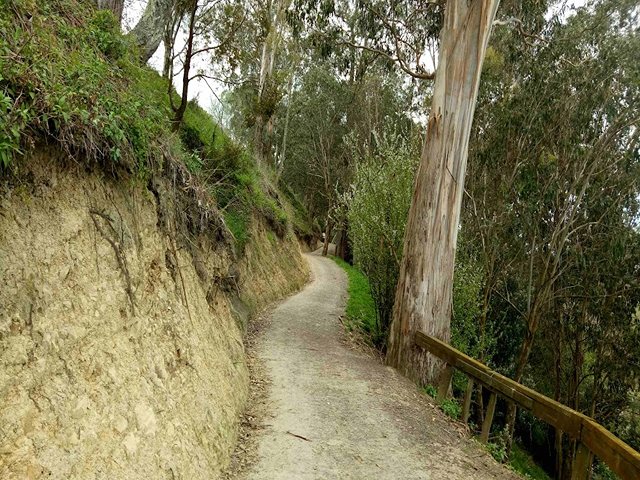 Island Park in Napier