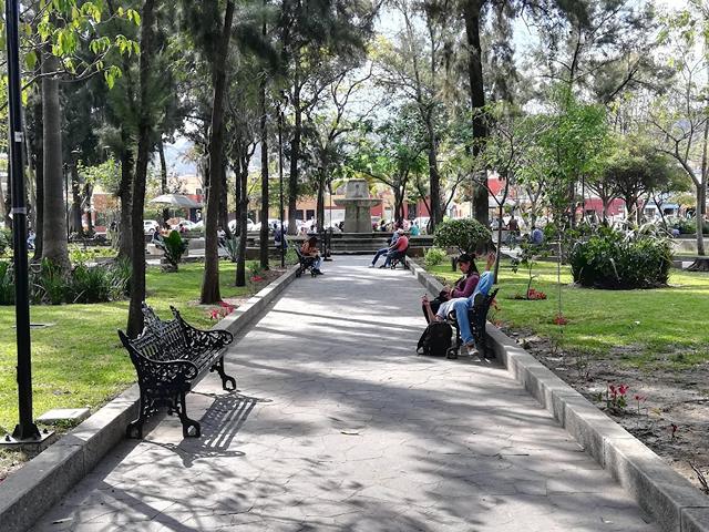 Jardin Conzatti Oaxaca