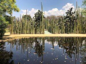 Jardin Etnobotanico de Oaxaca