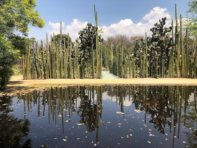 national parks in Oaxaca
