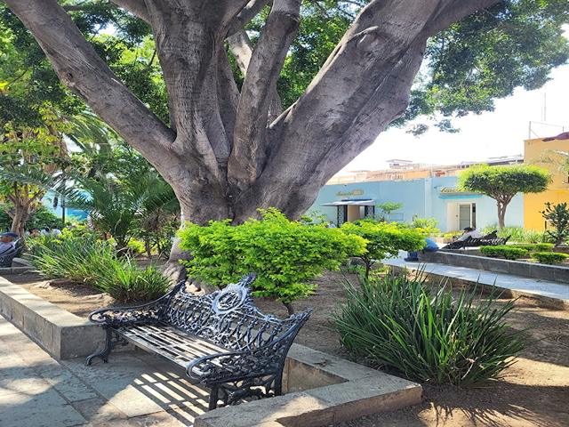 Jardin San Francisco Oaxaca