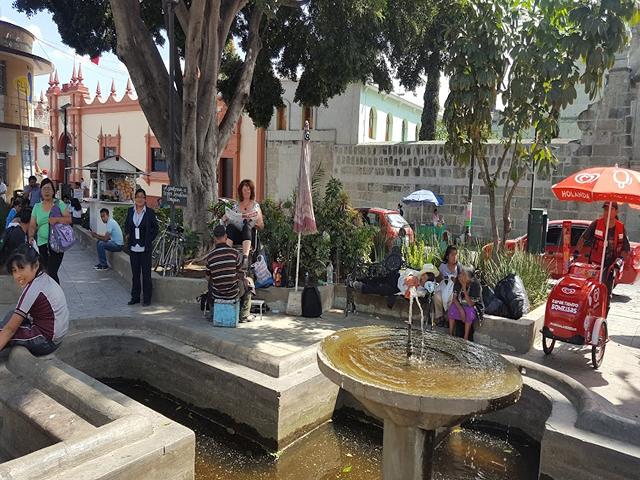 Jardin San Francisco Oaxaca