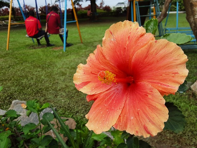 Jhalobia Botanical Garden Lagos