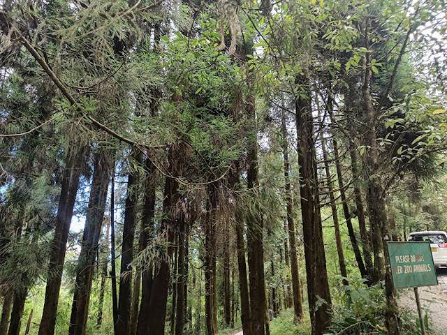 best parks in Gangtok