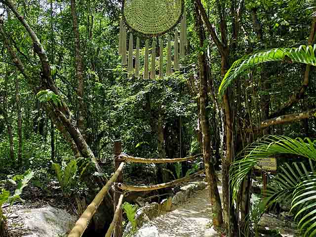 Kantun Chi Forest Playa del Carmen