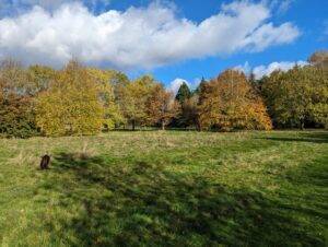 best parks in Leicester