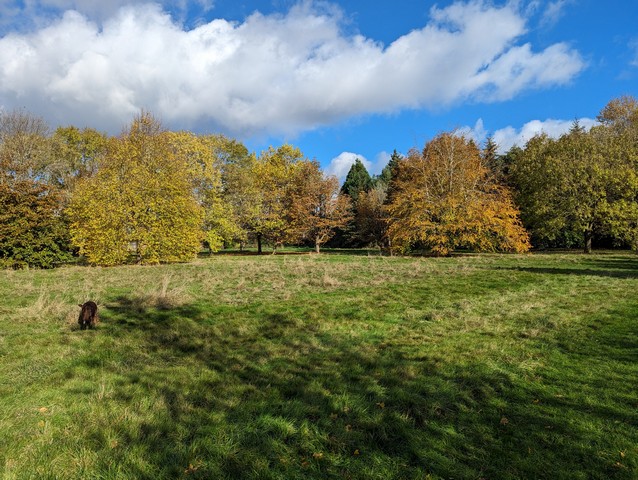 best parks in Leicester