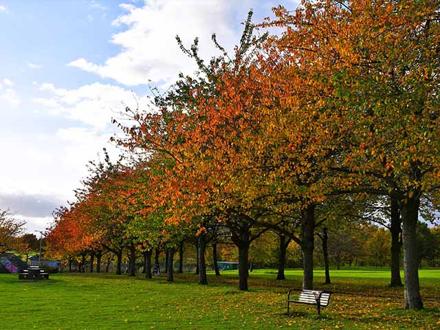best attractions in Dundee