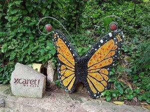 Mariposario de Xcaret Playa del Carmen