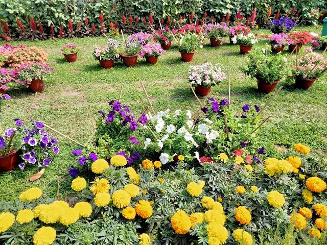 best parks in Kolkata