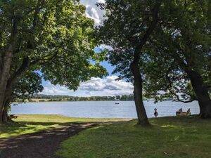 Monikie Country Park Dundee - best parks in Dundee - free things to do in Dundee