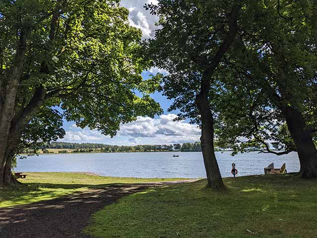things to do in Dundee for families