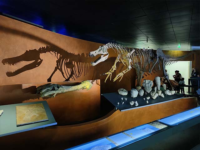 attractions in Toulouse for families