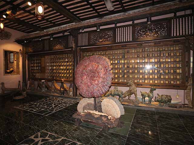 Museum of Traditional Vietnamese Medicine in Ho Chi Minh City