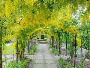 Ness Botanic Gardens Chester