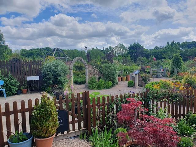 New Forest Lavender Gardens Salisbury