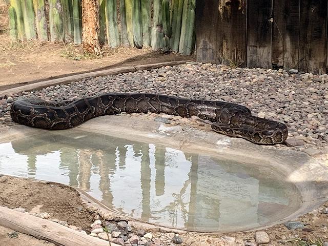 Oaxaca Zoo