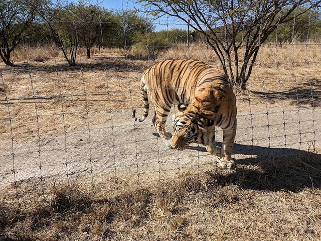 Oaxaca Zoo