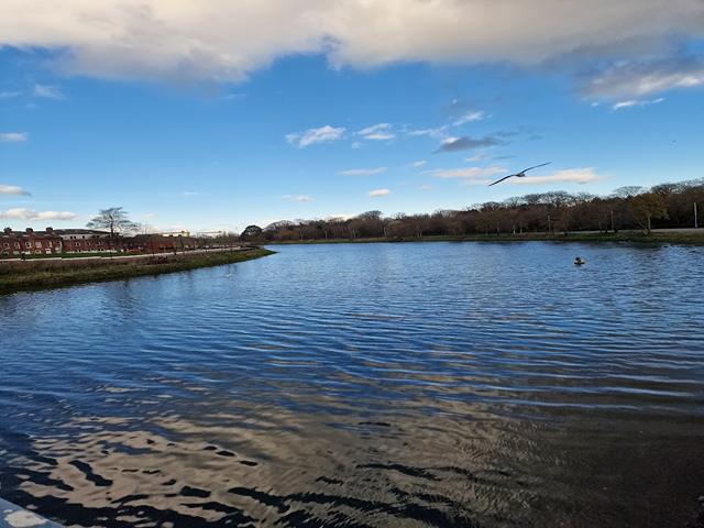 Ormeau Park Belfast
