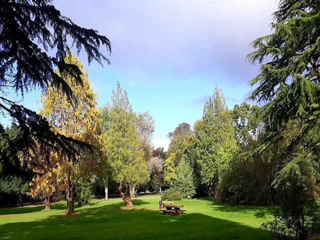 Ormeau Park Belfast