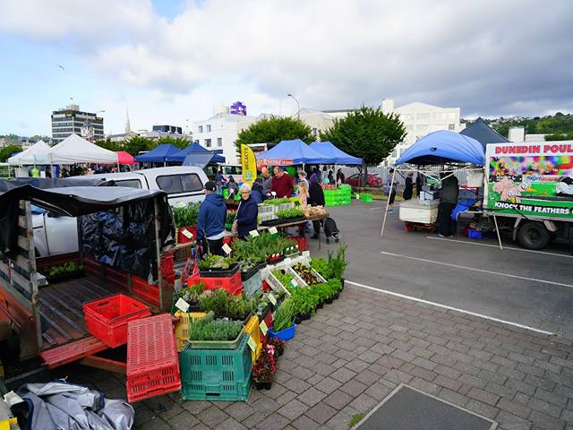 things to do in Dunedin
