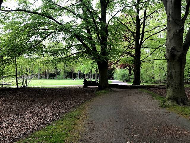 Best parks in Eindhoven