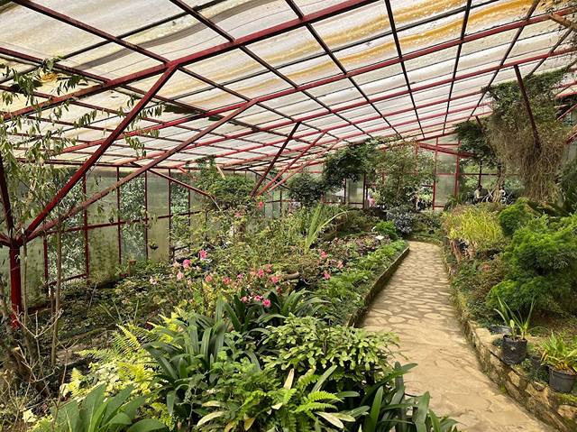 things to do in Gangtok City