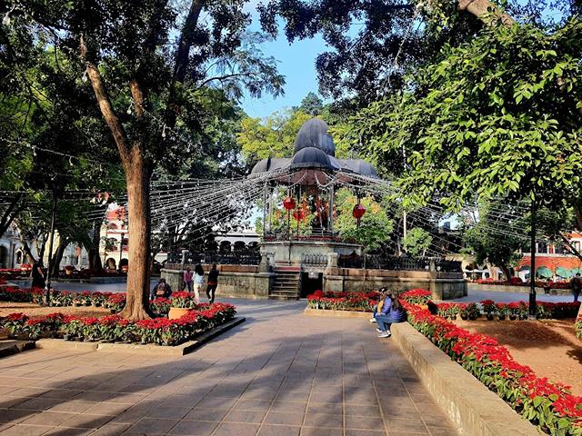 Plaza de la Constitucion Oaxaca