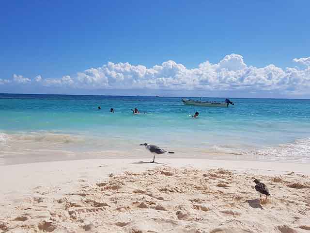 things to do in Playa del Carmen