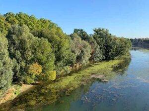 Prairie des Filtres Park Toulouse