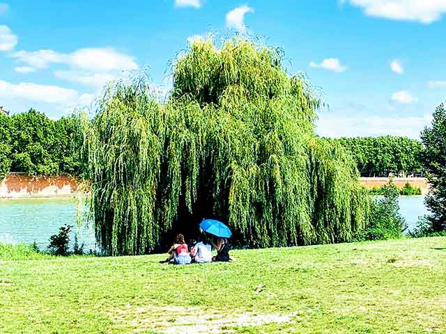 attractions in Toulouse France