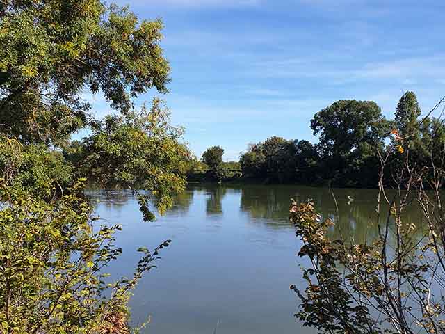 top things to do in Toulouse France