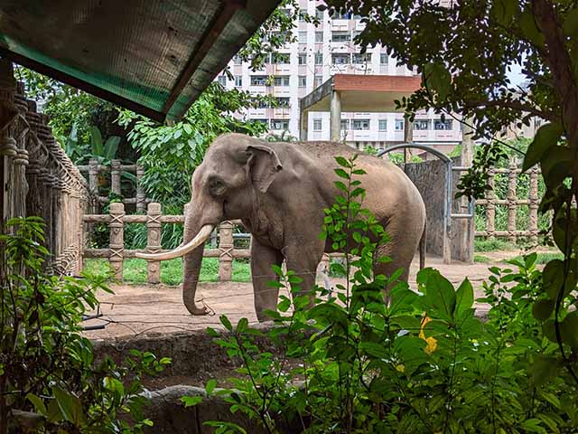 best parks in Ho Chi Minh City